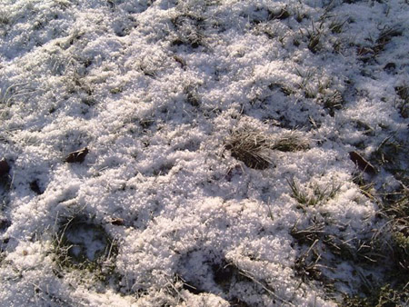 snow